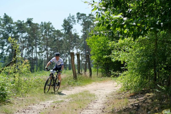 ¿Qué aspectos considerar para asegurar la seguridad en el entrenamiento de artes marciales?